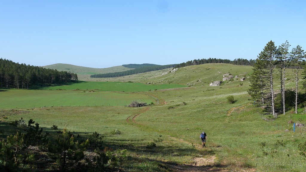 2023-05-27-09h-29m-08s_365.JPG - Serre de Capel