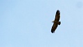2023-05-24-15h-53m-02s_256