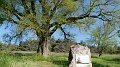 2023-05-25-09h-00m-18s_270
