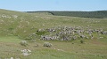 2023-05-27-08h-40m-41s_356