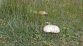 2023-05-27-09h-06m-44s_362