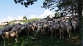 2023-05-27-12h-31m-04s_381