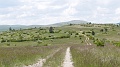 2023-05-27-13h-41m-55s_384