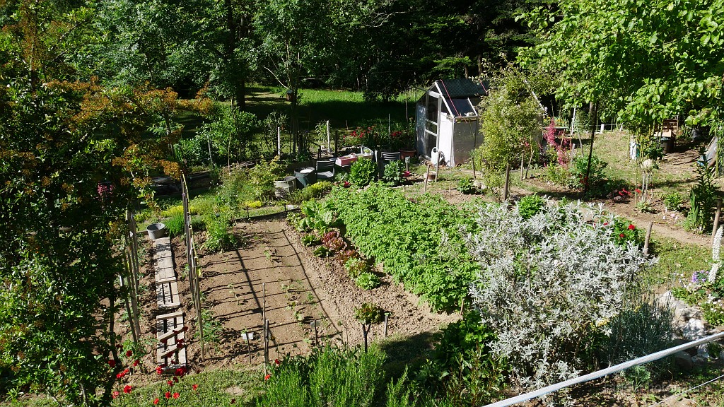 2021-06-06_09h-38m-08s_020.JPG - Beau jardin
