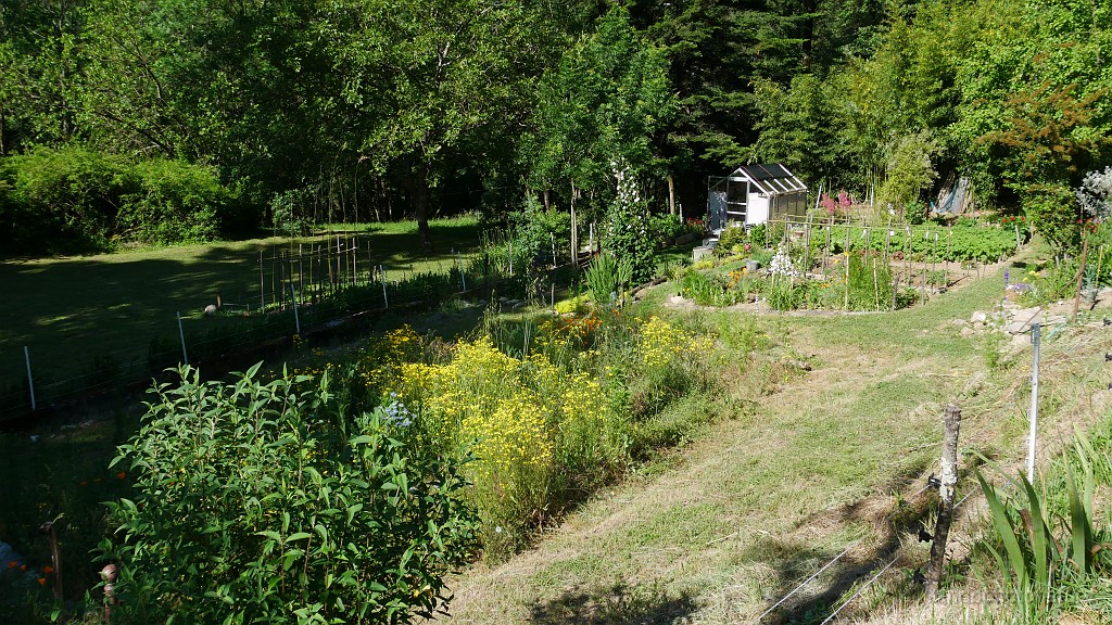 2021-06-06_09h-39m-02s_022.JPG - Beau jardin