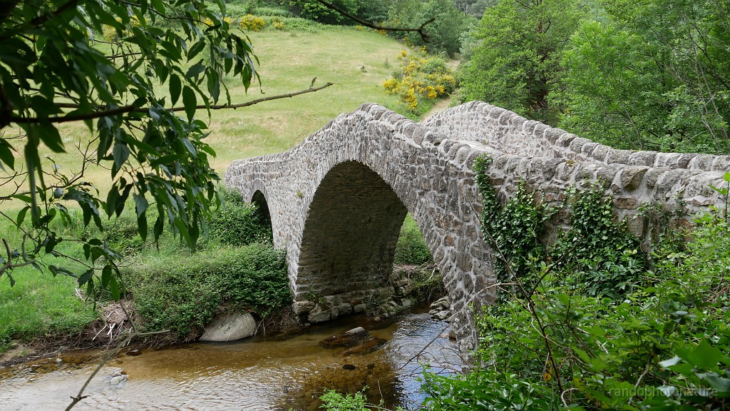 2021-06-06_13h-35m-46s_053.JPG - Vieux pont sur le Sandron