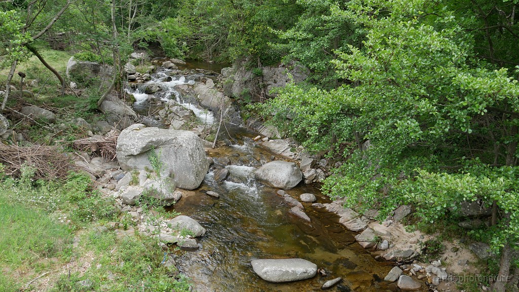2021-06-06_13h-36m-32s_054.JPG - Le Sandron