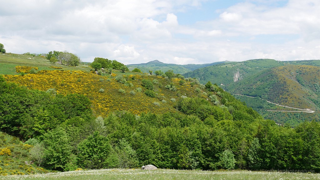 2021-06-08_14h-43m-41s_200.JPG - Panorama
