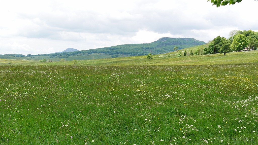 2021-06-08_14h-49m-26s_201.JPG - Prairies de fauche