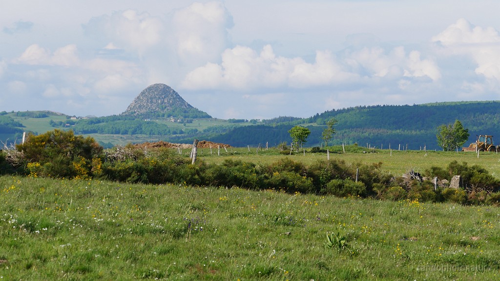 2021-06-08_18h-26m-24s_230.JPG - Le mont Gerbier des Joncs