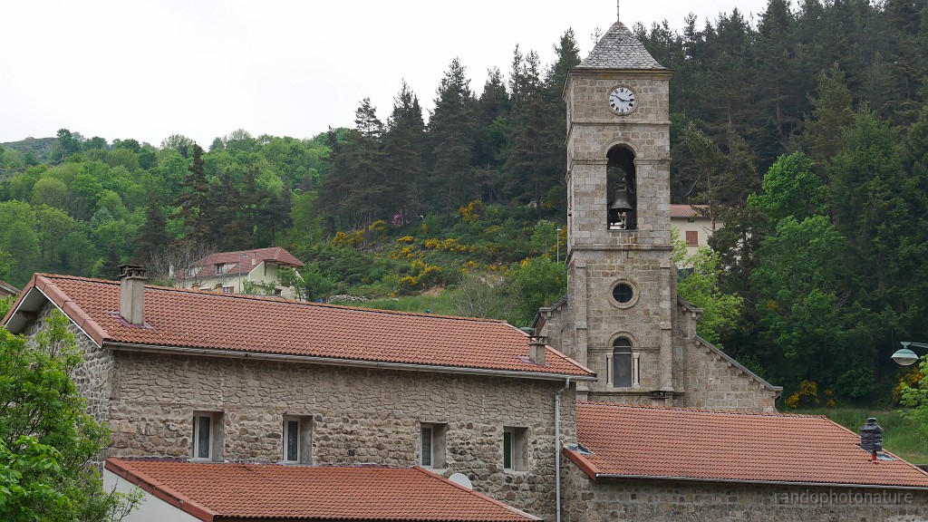 2021-06-09_10h-16m-12s_245.JPG - Cros-de-Géorand