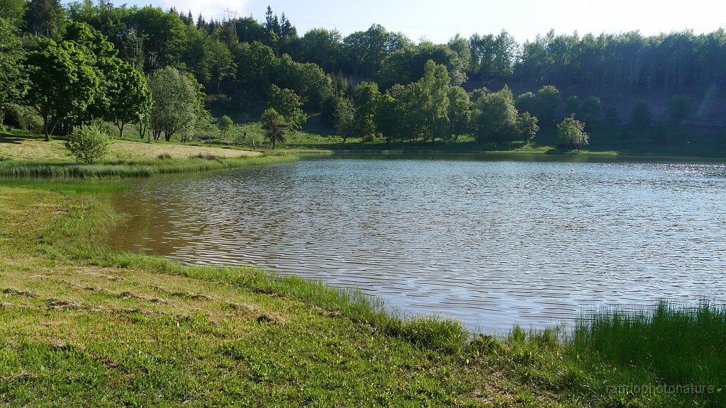 2021-06-10_08h-57m-23s_263.JPG - Lac Ferrand