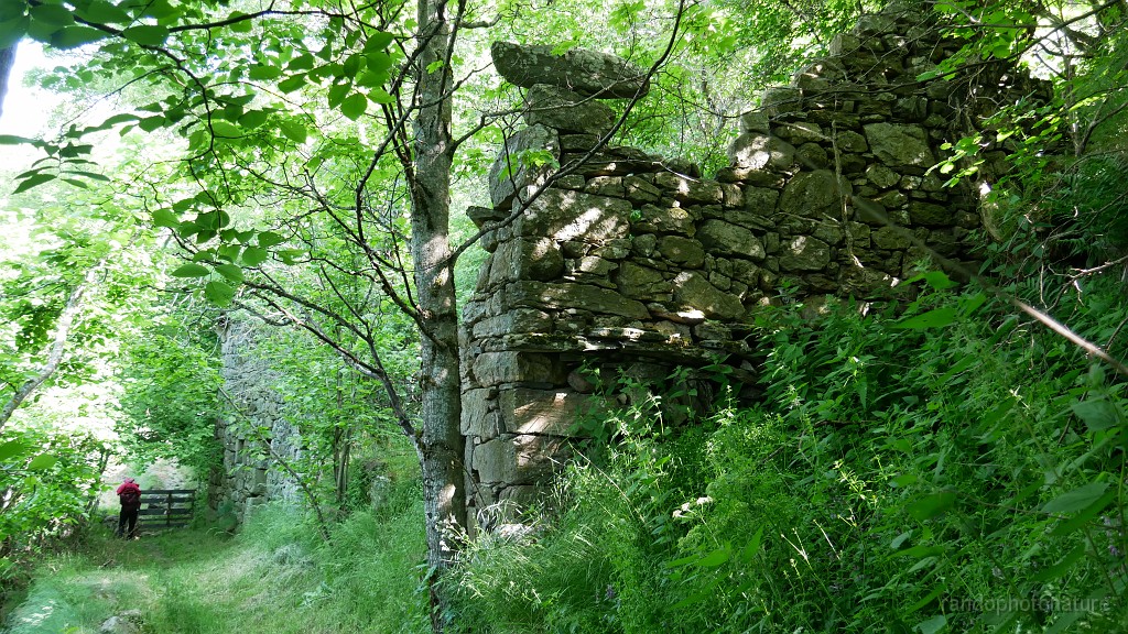 2021-06-12_10h-11m-44s_357.JPG - Maison ruinée