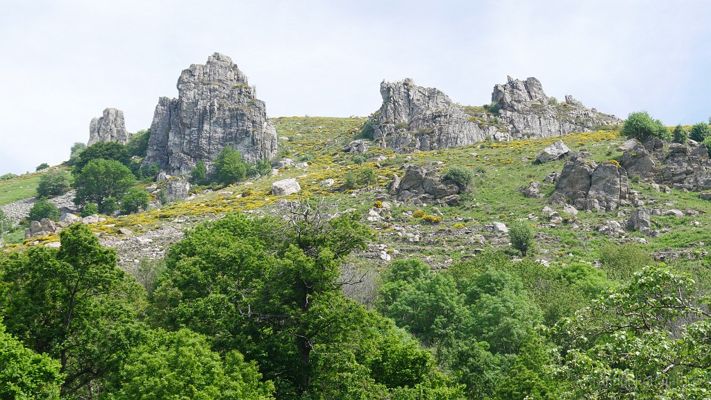 2021-06-12_11h-06m-38s_371.JPG - Les Lasses