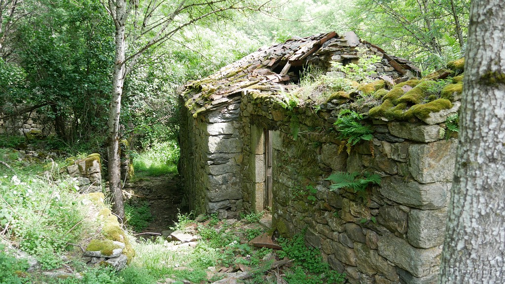 2021-06-12_12h-02m-46s_380.JPG - Village ruiné de Conches