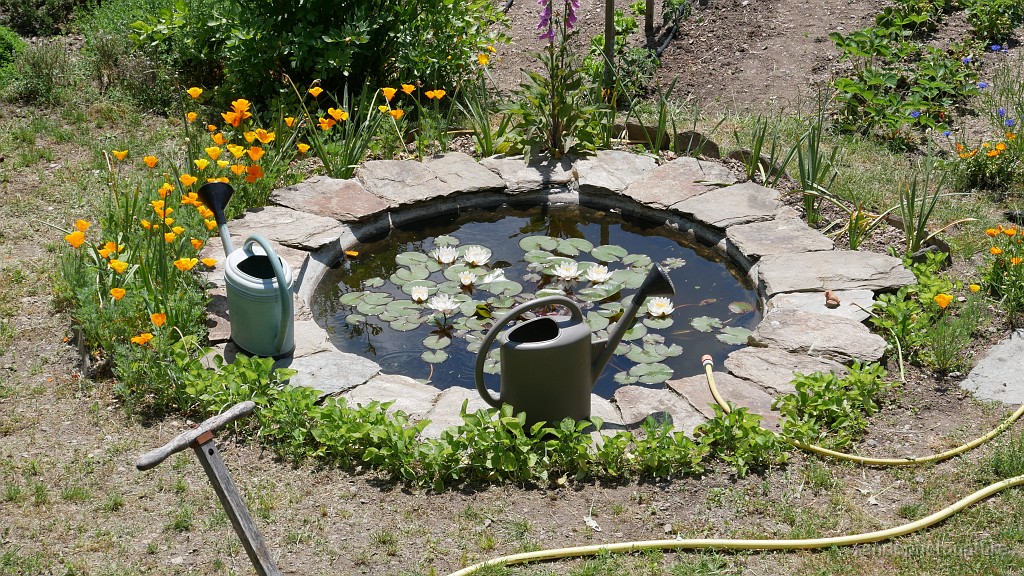 2021-06-12_13h-46m-49s_389.JPG - Tableau