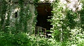 2021-06-06_09h-31m-08s_018
