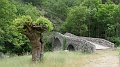 2021-06-06_13h-42m-15s_059