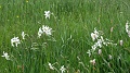 2021-06-07_15h-23m-49s_116