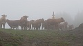 2021-06-07_15h-38m-29s_118