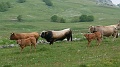 2021-06-08_09h-18m-14s_124