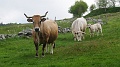 2021-06-08_09h-19m-36s_127