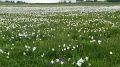 2021-06-08_09h-24m-46s_131