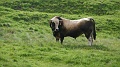 2021-06-08_09h-29m-00s_134
