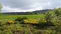 2021-06-08_09h-33m-41s_135