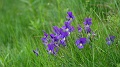 2021-06-08_09h-50m-59s_141