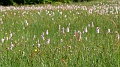 2021-06-08_10h-15m-19s_151