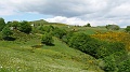 2021-06-08_14h-43m-36s_199