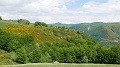 2021-06-08_14h-43m-41s_200