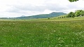 2021-06-08_14h-49m-26s_201