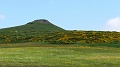 2021-06-08_14h-53m-07s_202