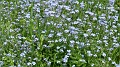 2021-06-08_15h-04m-56s_213