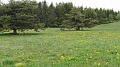 2021-06-08_15h-30m-43s_218