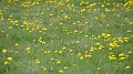 2021-06-08_15h-30m-56s_219