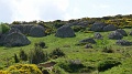2021-06-08_16h-43m-12s_227