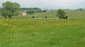2021-06-09_09h-13m-30s_239