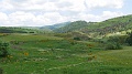 2021-06-10_14h-16m-45s_281