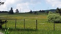 2021-06-11_11h-27m-38s_310