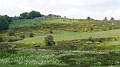 2021-06-11_12h-14m-44s_315