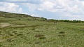2021-06-11_14h-26m-10s_325