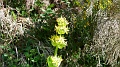 2021-06-12_09h-41m-10s_336