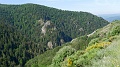 2021-06-12_09h-44m-20s_338