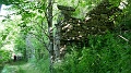 2021-06-12_10h-11m-44s_357