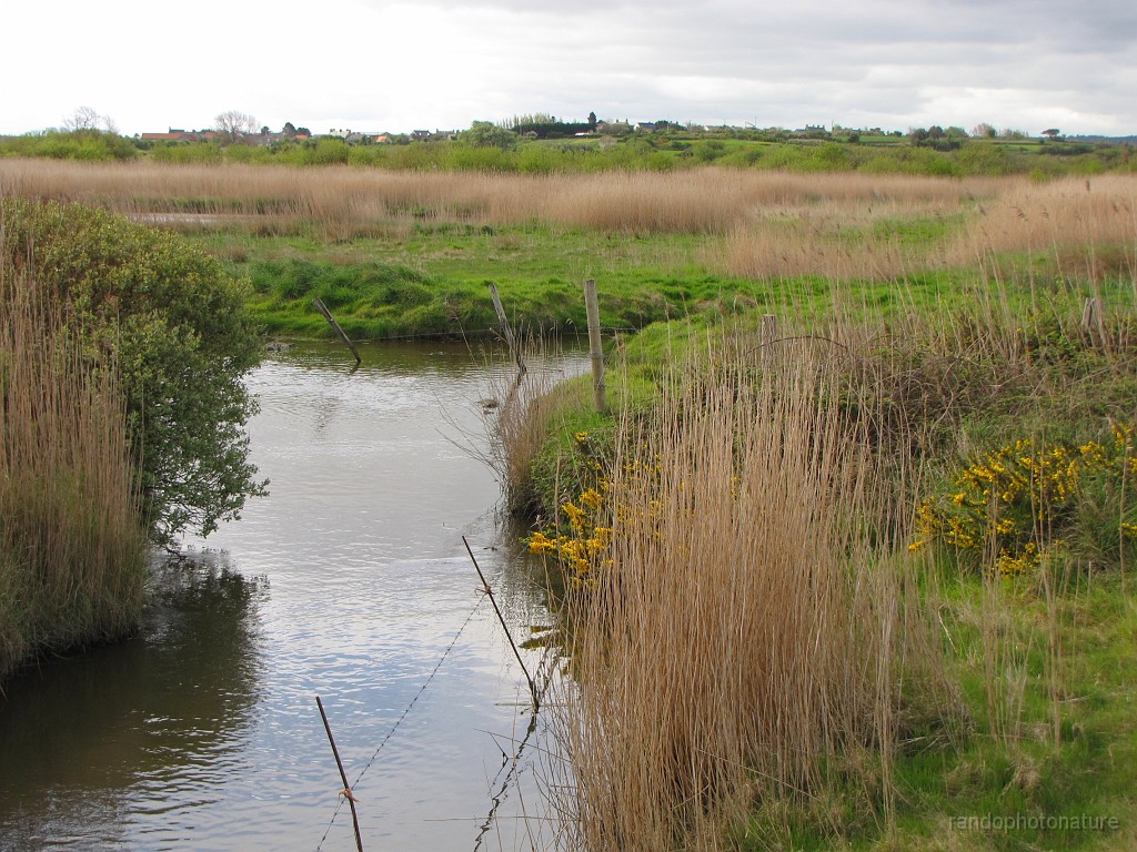 2018-04-23_11h-03m-20s_146.JPG - Etang de Gattemare