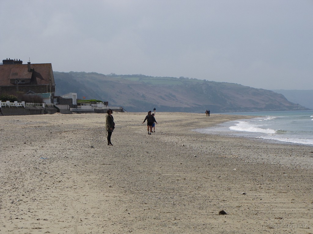 2018-04-24_15h-48m-39s_208.JPG - Plage d'Urville-Nacqueville