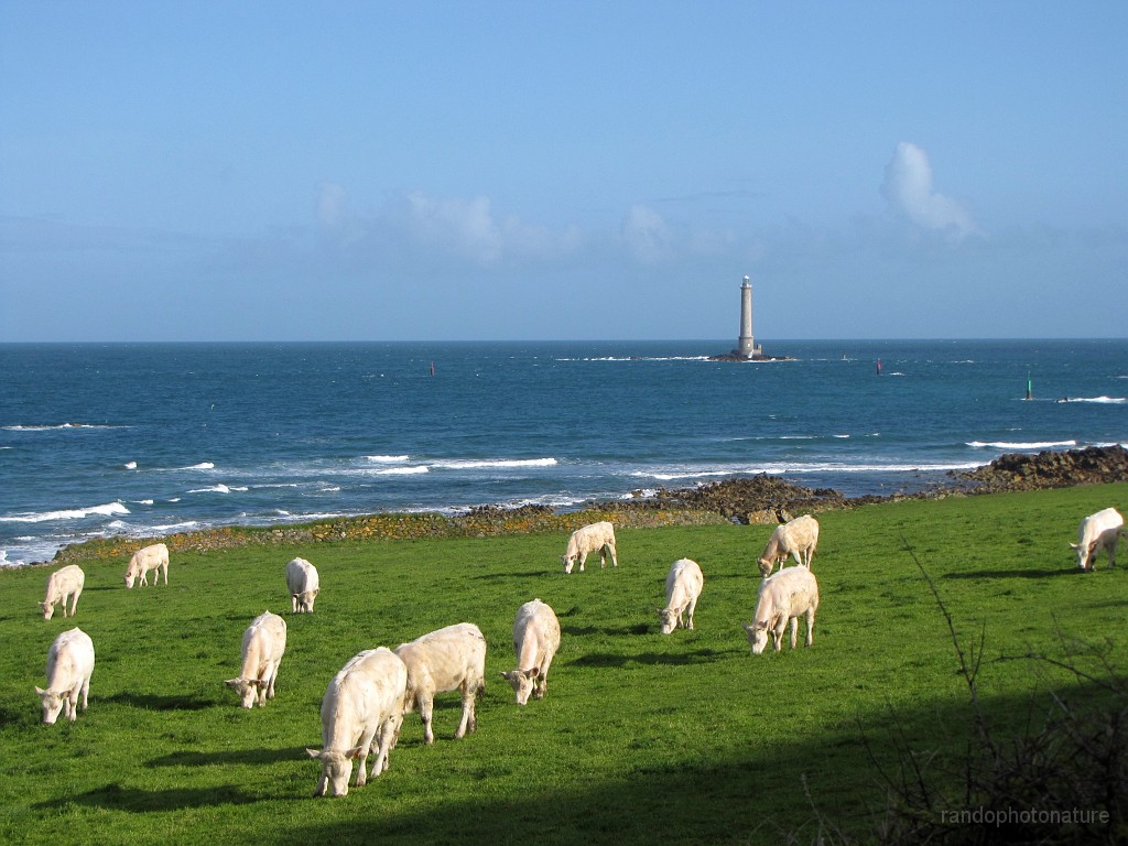 2018-04-26_09h-26m-25s_297.JPG - La phare de Gatteville